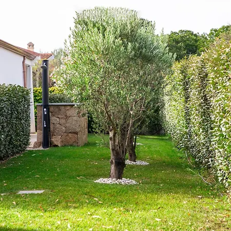 Guest house Maristesi *